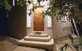 New! Casa Xola Cenote And Fauna Loft
