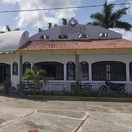 New! Casa Xola Cenote And Fauna Loft Cozumel Exterior photo