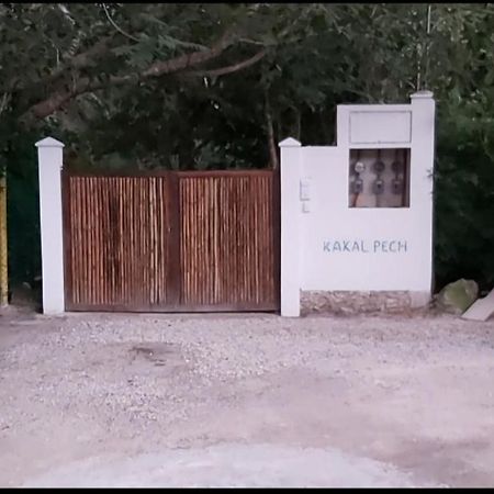 New! Casa Xola Cenote And Fauna Loft Cozumel Exterior photo