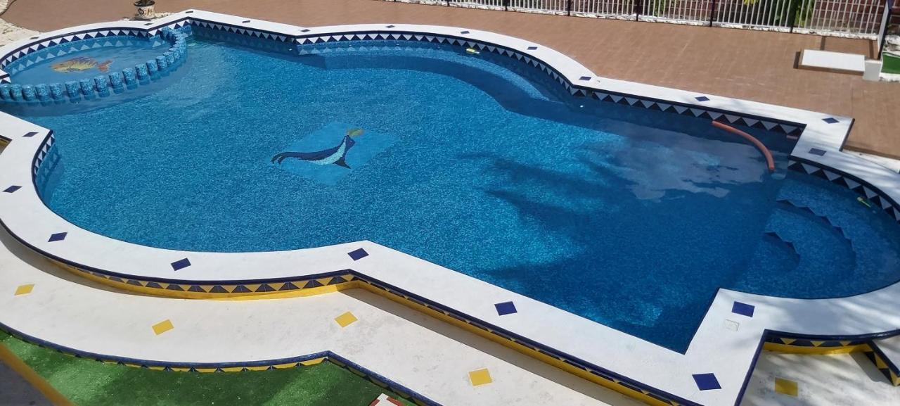 New! Casa Xola Cenote And Fauna Loft Cozumel Exterior photo