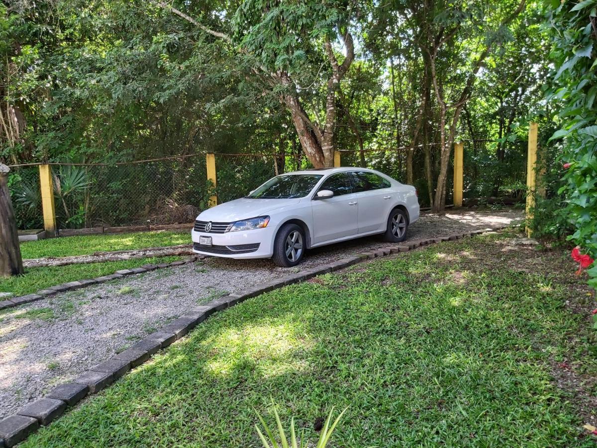 New! Casa Xola Cenote And Fauna Loft Cozumel Exterior photo