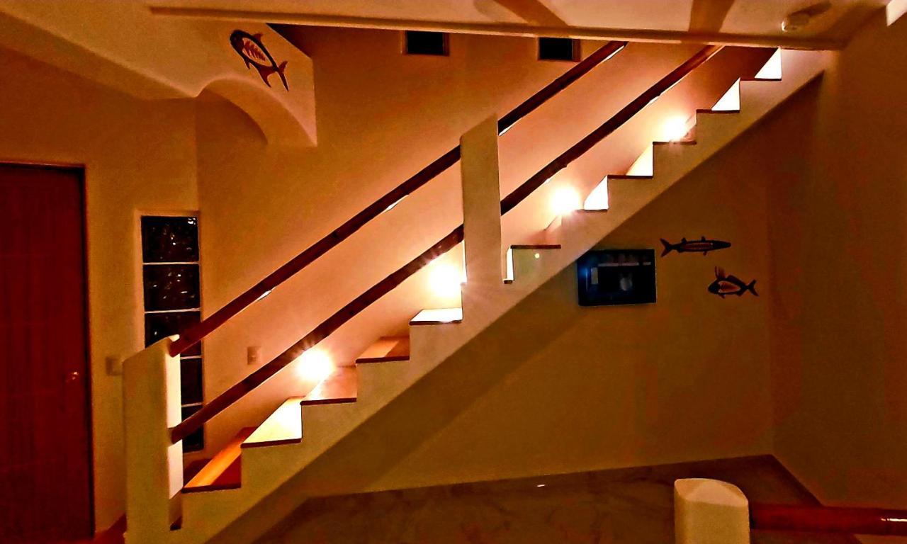 New! Casa Xola Cenote And Fauna Loft Cozumel Exterior photo