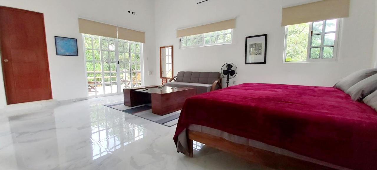 New! Casa Xola Cenote And Fauna Loft Cozumel Exterior photo