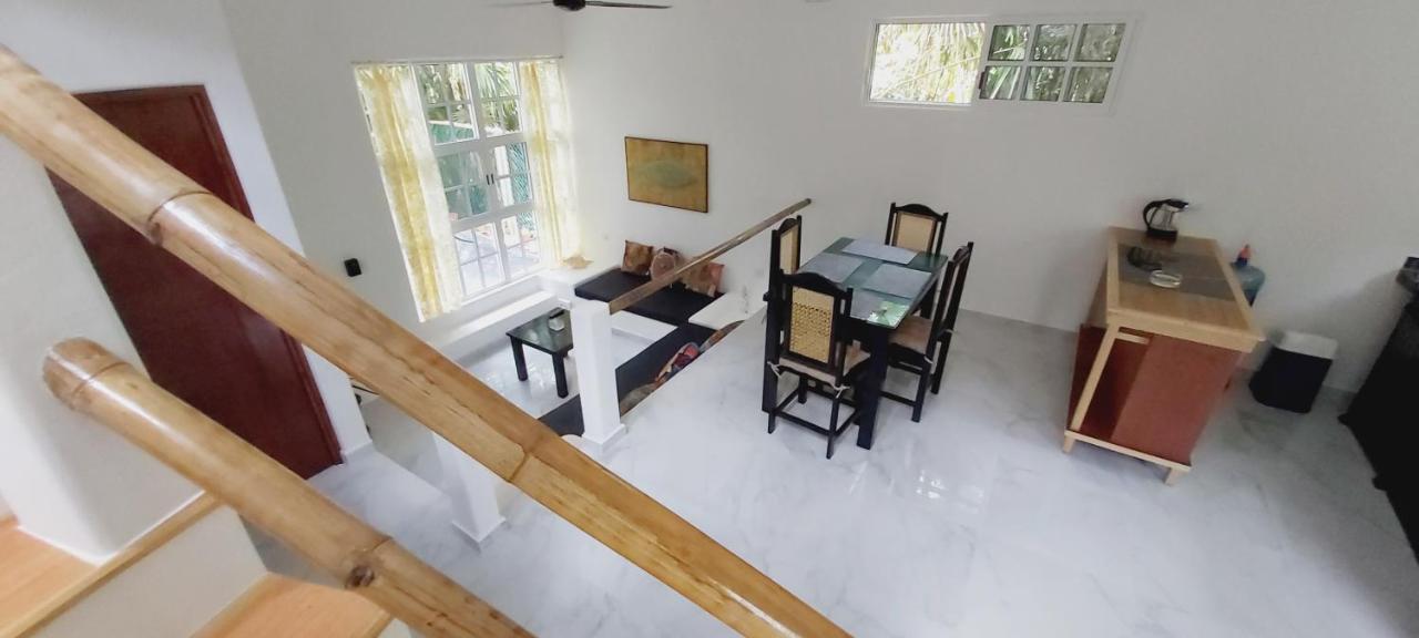 New! Casa Xola Cenote And Fauna Loft Cozumel Exterior photo
