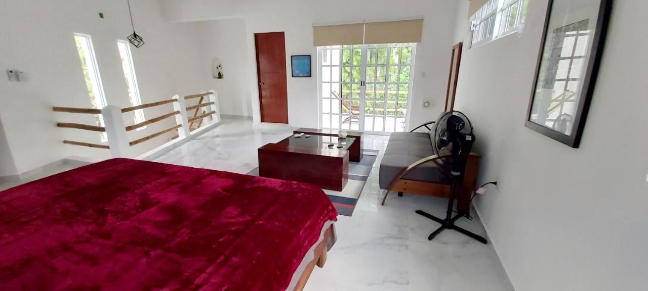New! Casa Xola Cenote And Fauna Loft Cozumel Exterior photo