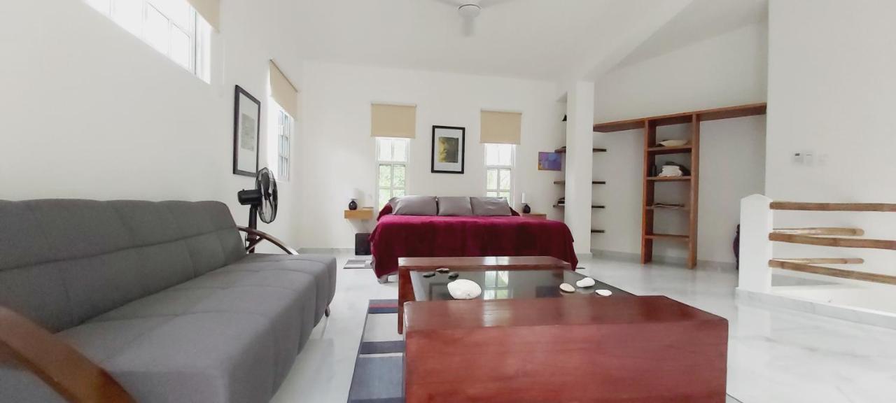 New! Casa Xola Cenote And Fauna Loft Cozumel Exterior photo