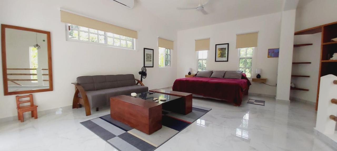 New! Casa Xola Cenote And Fauna Loft Cozumel Exterior photo