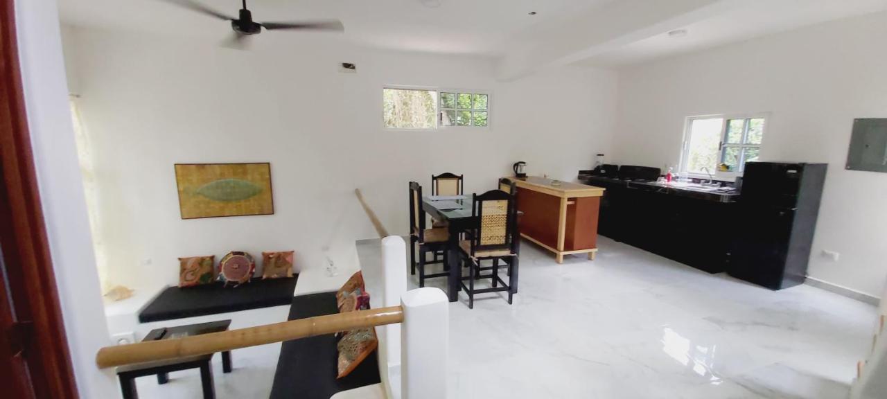New! Casa Xola Cenote And Fauna Loft Cozumel Exterior photo