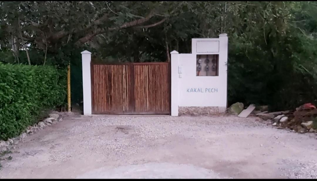 New! Casa Xola Cenote And Fauna Loft Cozumel Exterior photo